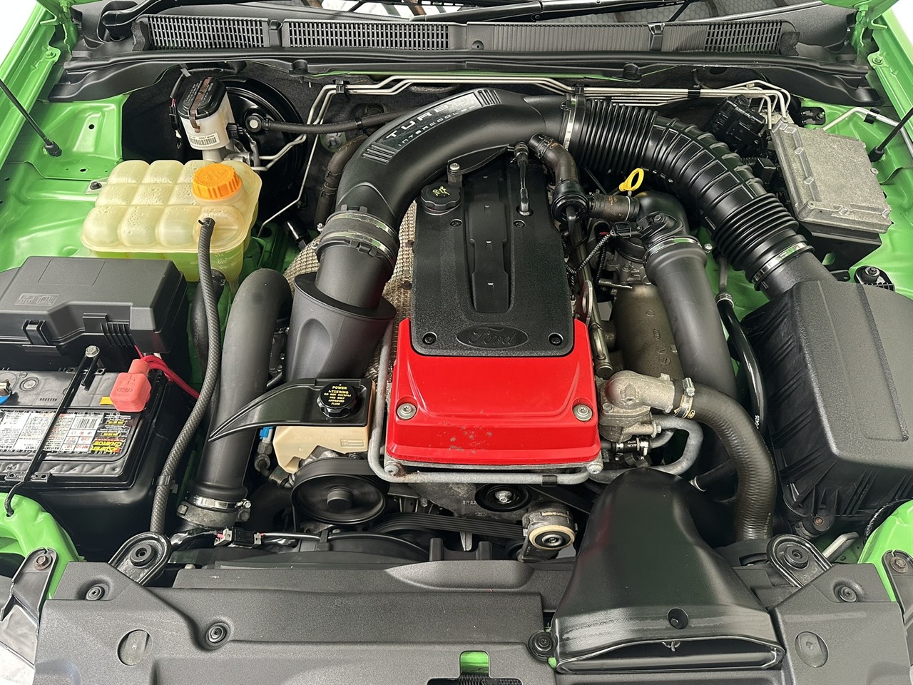 2008 Ford Falcon