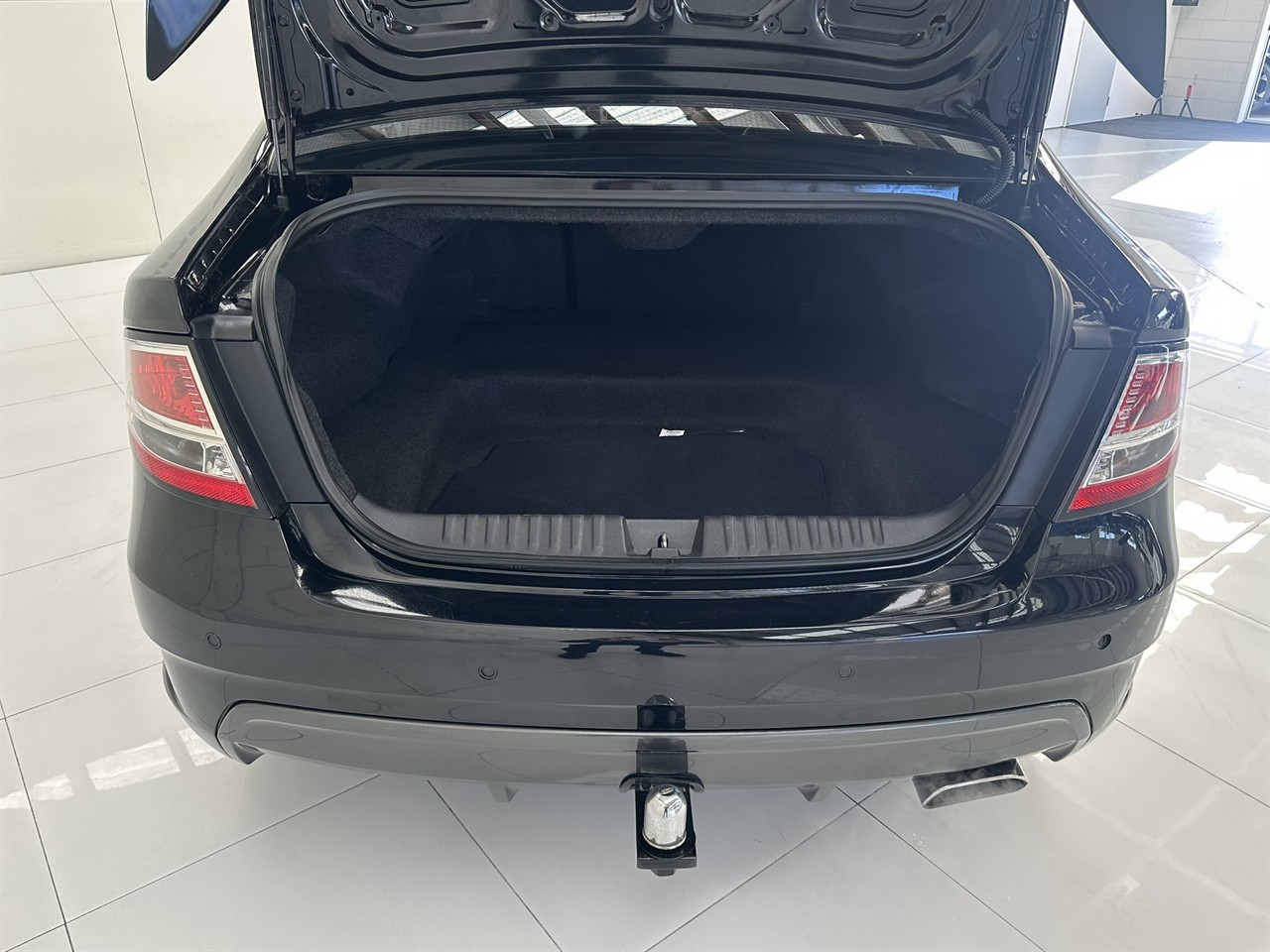 2009 Ford Falcon