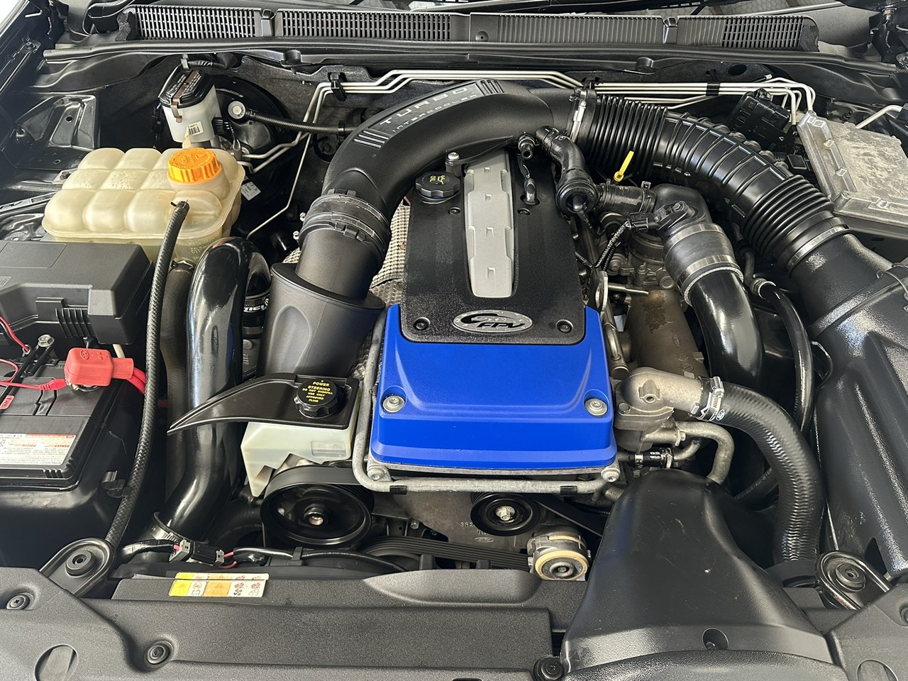 2009 Ford Falcon