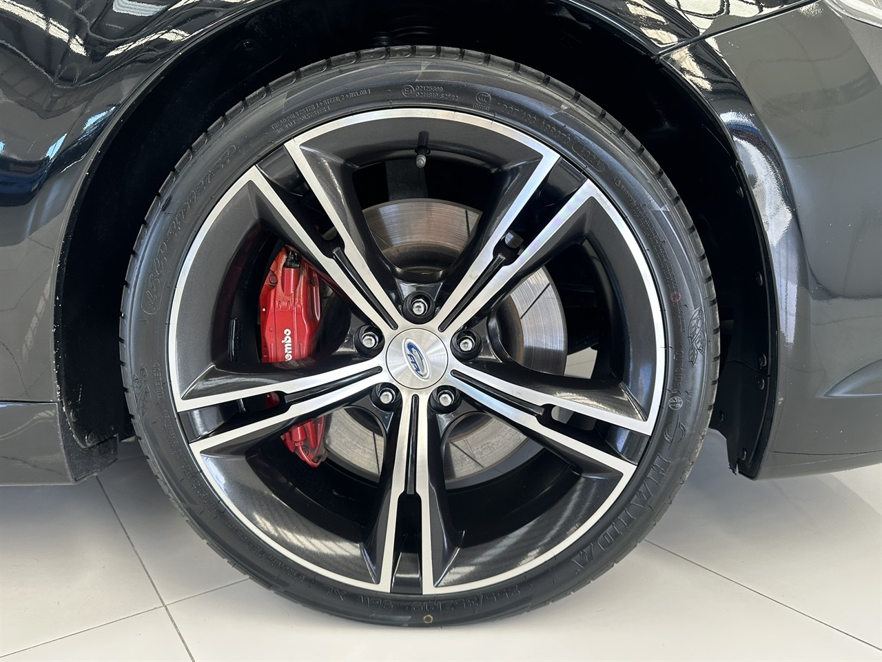 2009 Ford Falcon