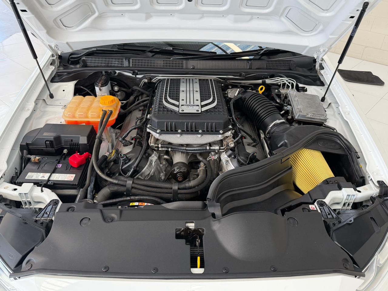 2016 Ford Falcon