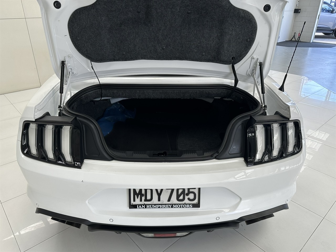 2019 Ford Mustang