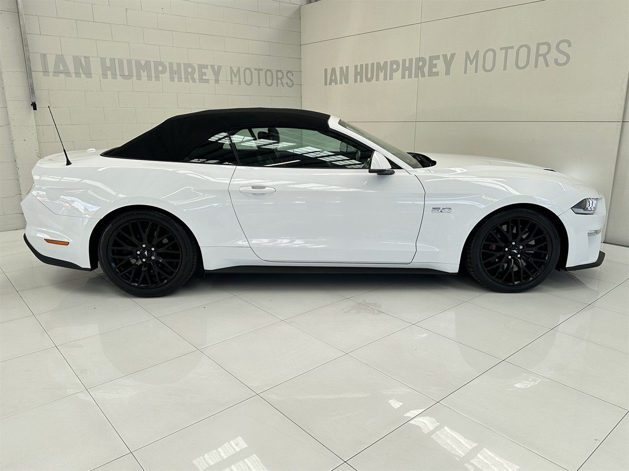 2019 Ford Mustang