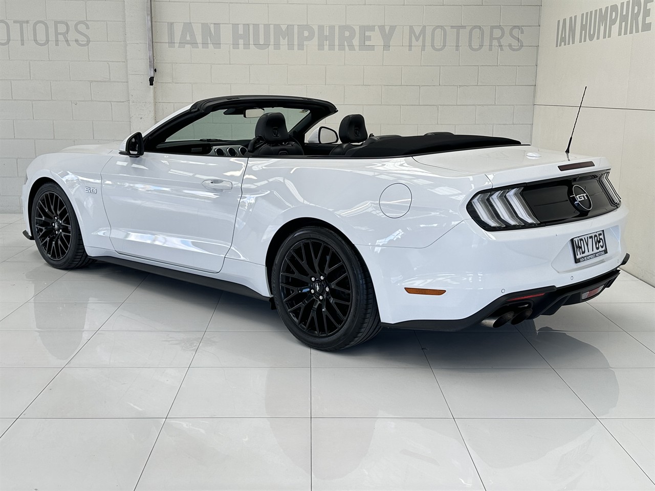 2019 Ford Mustang
