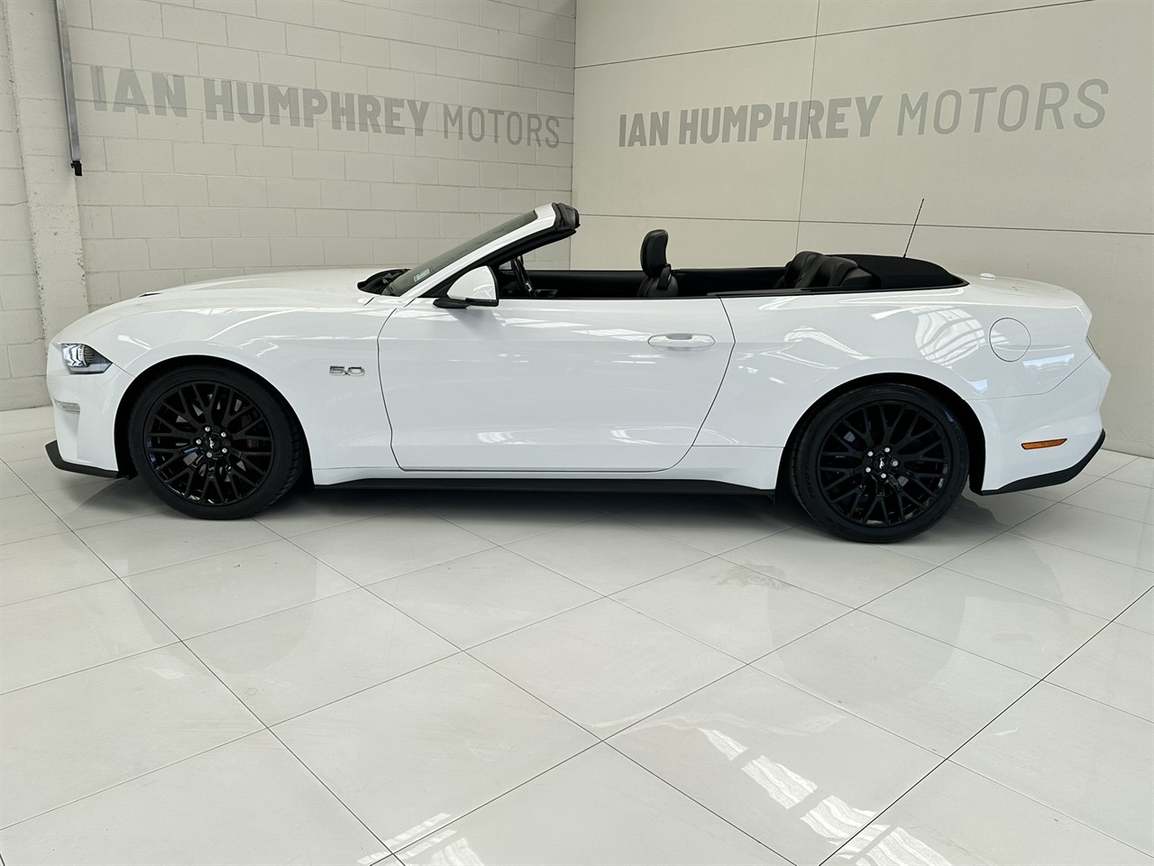2019 Ford Mustang
