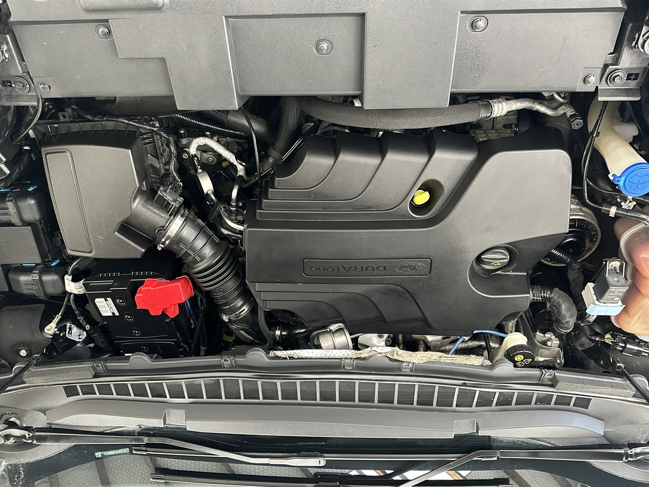 2018 Ford Endura