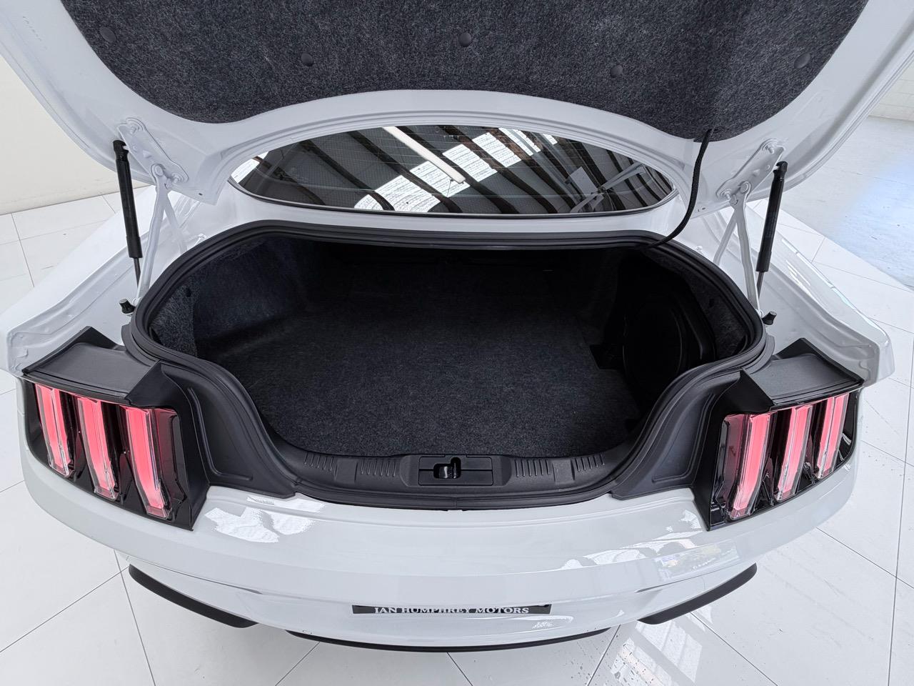 2019 Ford Mustang