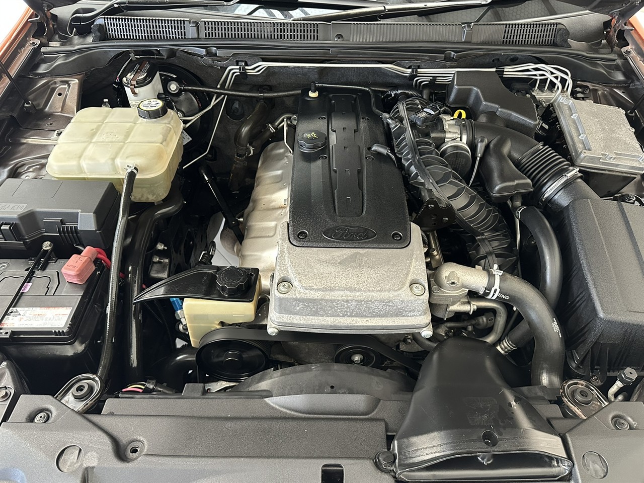 2013 Ford Falcon