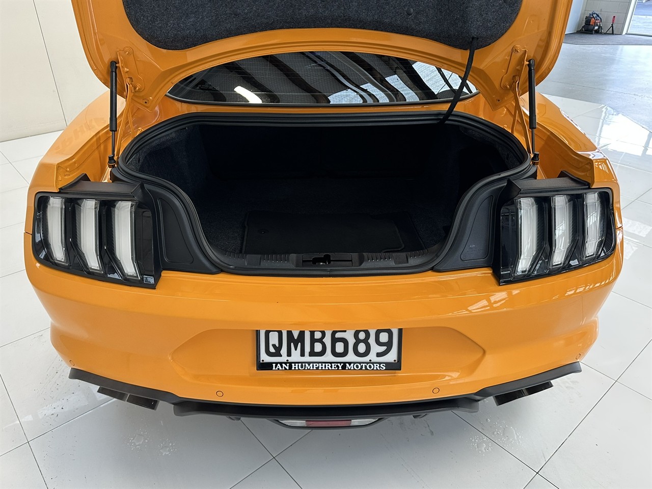 2019 Ford Mustang