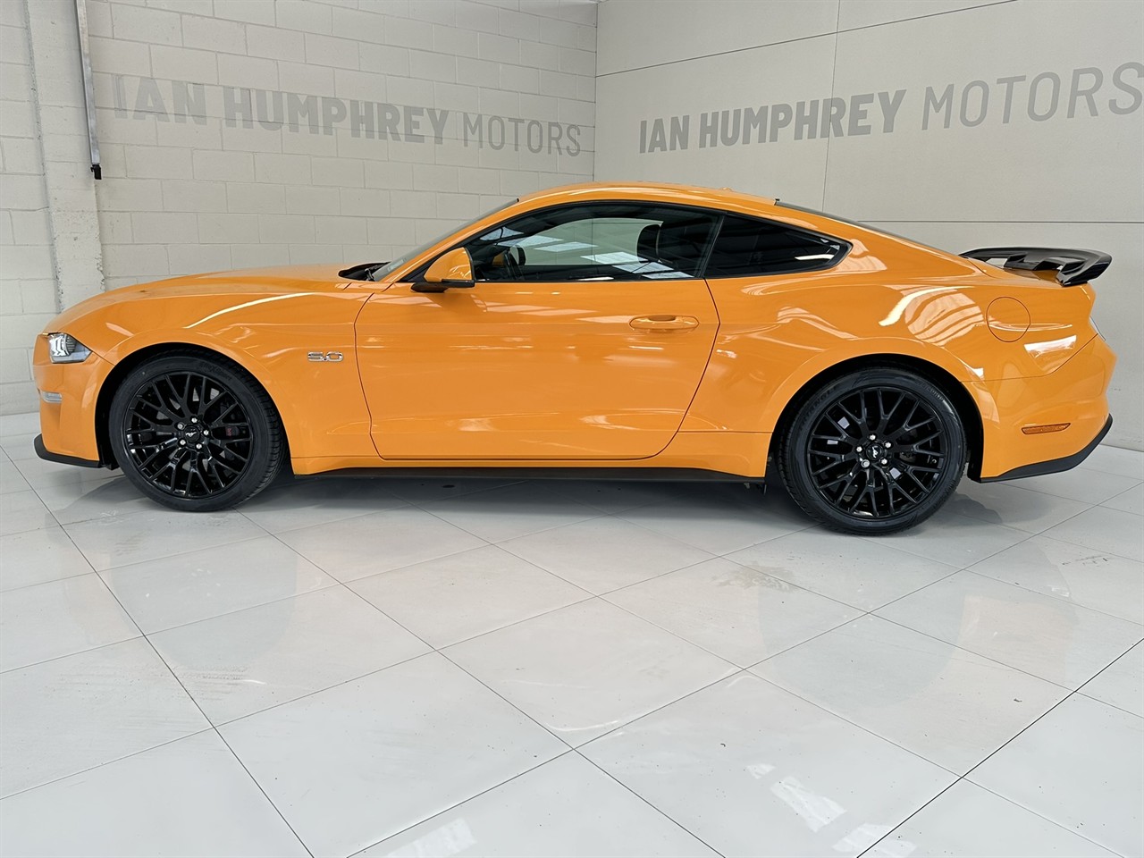 2019 Ford Mustang