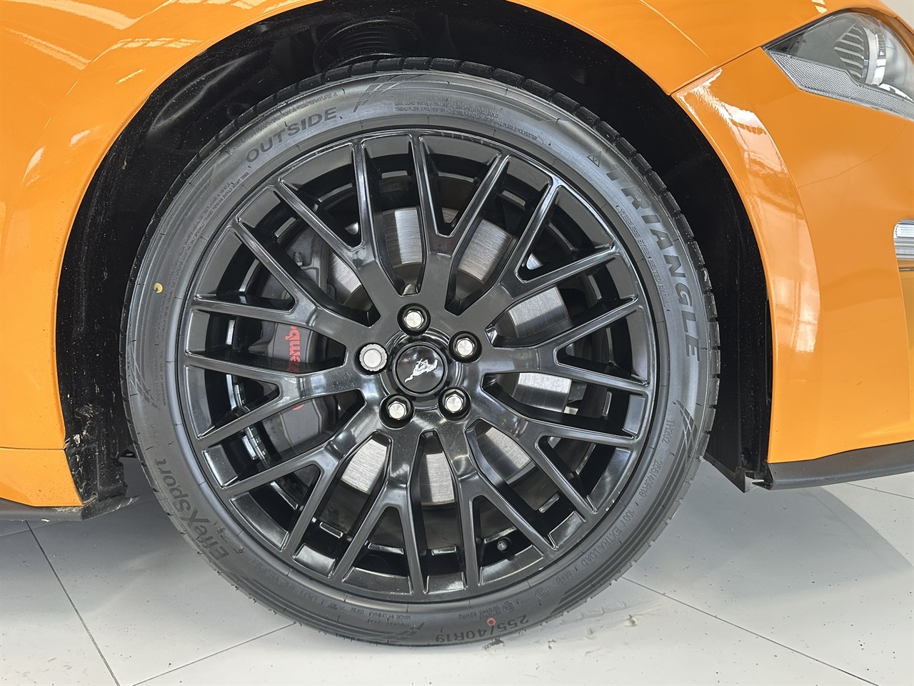 2019 Ford Mustang